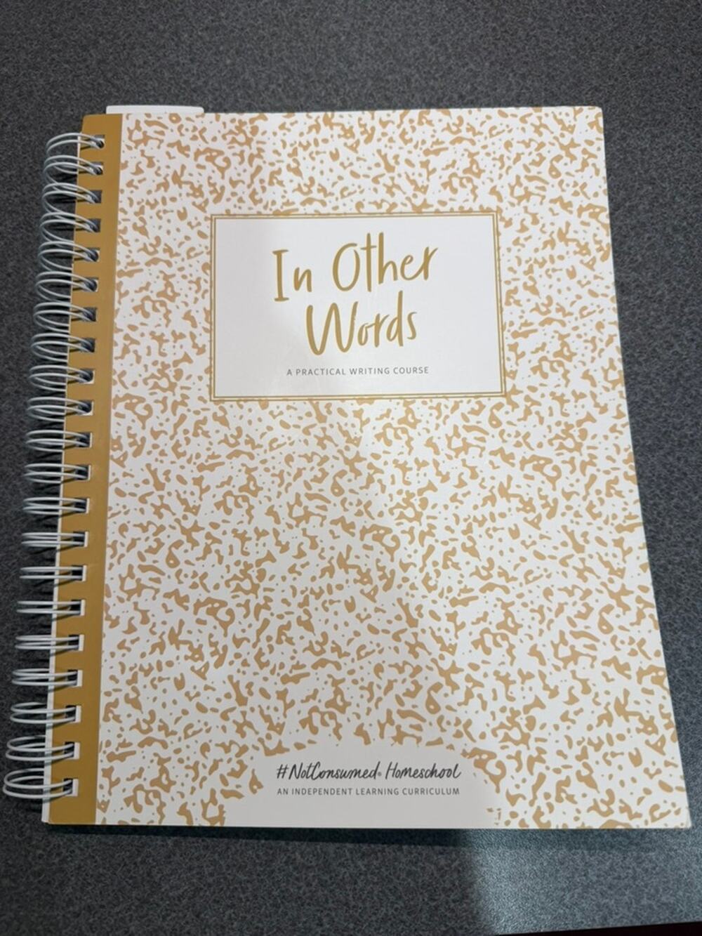 NEW In Other Words: A Practical Writing Course by Not Consumed Homeschool